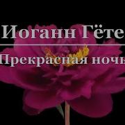 Прекрасная Ночь Фет