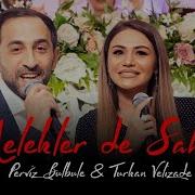Perviz Turkan Meleklerde Sahid