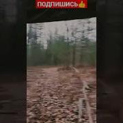 Рейк Существует