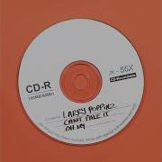 Can T Fake It Larry Poppinz