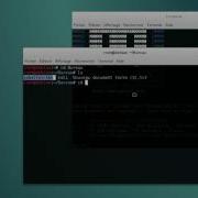 Open Cobalt Strike In Kali Linux 2