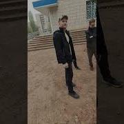 Солнце Светит Негры Пашут П