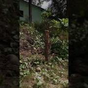 Голые И Нудисты Дочь Фото