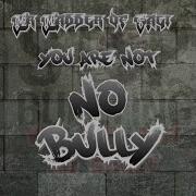 Mr Madder Of Fact You Are Not No Bully