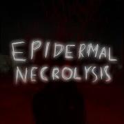 Epidermal Necrolysis Funk