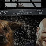 Мухтар Новый След Страница Из Паспорта