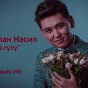 Жаңы Ыр 2018 Нурлан Насип Жаз Гүлү