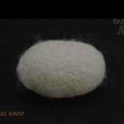 Cocoona Giants Nest