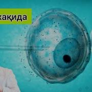 Дилмурод Эргашев Доктор Д Ҳақида Сиз Билмаган Маълумотлар