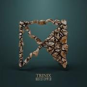 Hotstepper Trinix
