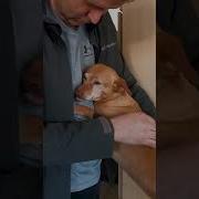 Олег Новиков Я Люблю Тебя