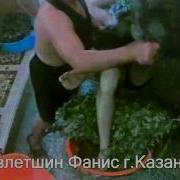 Тамада Фанис Султангулов Кунашак Башкирская Свадьба 21 10 2017