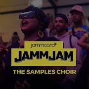 Joy Is Coming The Samples