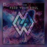 Attican Feed Your Soul