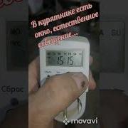 Джерк В Деревннском Курятнике