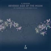Gelvetta The Reverse Side Of The Moon