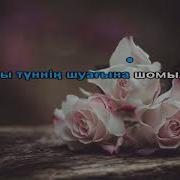 Не Жаздым Мен Жаным Саган Караоке