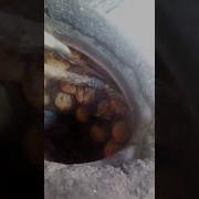 Самсы Кара Балта