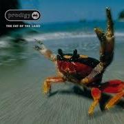 The Prodigy Smack My Bitch Up David Guetta Morten Remix