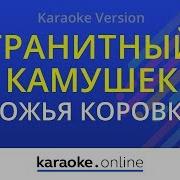 Божья Коровка Гранитный Камушек Караоке