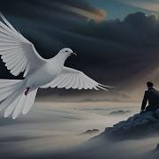 Олег Винник Голубе Сивий Скачать