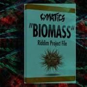 Cymatics Riddim Project