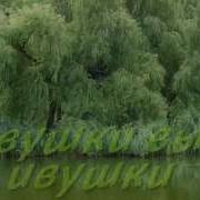 Тамара Архангельская Ивушки