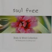 Chasing A Dream R Arduini Soul Free Body Mind Collection