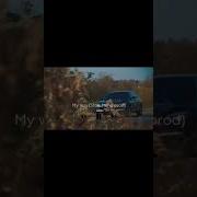 Паша Пэл Нарезки Под Музыку