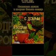 Пожелтела Листва И Не Греет Солнце