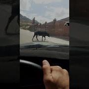 Беташар Толеби Аудан