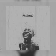Kelvin Momo Flowless