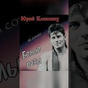 Частный Сектор Белые Розы