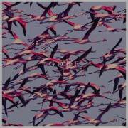 L Mirl Deftones