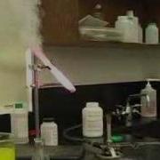 Screaming Experiment Gummy Bear