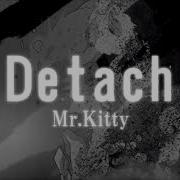 Mr Kitty Detach Slowed Reverb