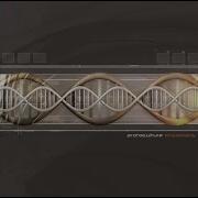 Protoculture Circadians