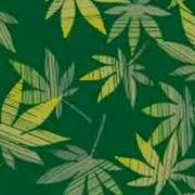 Петлюра Конопля