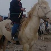 От Бозор Сурхандарё Сариосё Пайшанби От Бозори Мархамат