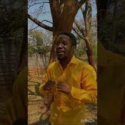 Batsirai Shasha Handina Bakatwa Visualizer Batsirai Shasha Official