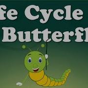 Metamorphosis But Another