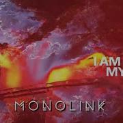 Monolink Sinner
