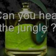 Zooloo Can You Hear The Jangle