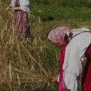 Жатва Стих Любови Васениной