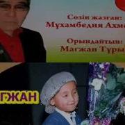 Чебурашка Балақай Туған Күн