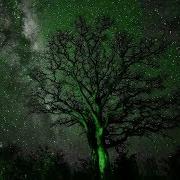 Dreamstate Logic Endless Void