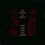 Sisters Of Mercy Amphetamine Logic