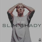 Sinner Slim Shady