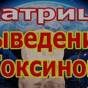 Сильнейшая Матрица Выведение Токсинов Просто Послушайте 5 Минут