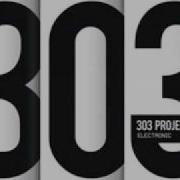 303 Project